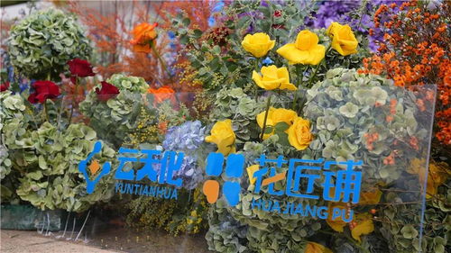 省委书记点赞 这些关于 三农 工作的案例值得借鉴