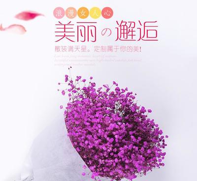 【云南干花批发 散装满天星花束 产地直销纯自然风干花束永生花】价格_厂家_图片 -