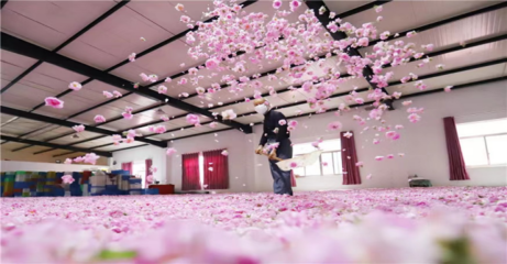 南通海安:栽下产业“花” 结出振兴“果”