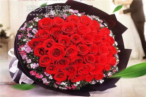 商丘花卉园艺培训学校图片