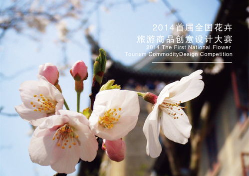花卉旅游产品设计大赛