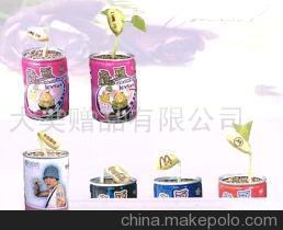 【宠物花卉,魔豆各地代理(图)】价格,厂家,图片,娱乐休闲产品代理加盟,大美礼品 -