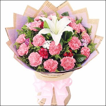 图 美丽心愿 教师节19枝粉色康乃馨精品花束预订 成都鲜花绿植