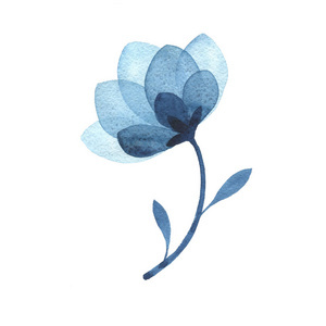 水彩花卉剪影