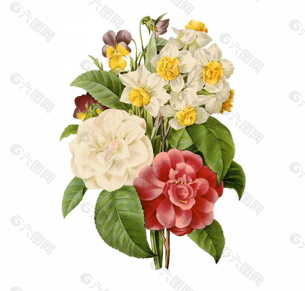位图 植物图案 写意花卉 花朵 免费素材产品工业素材免费.