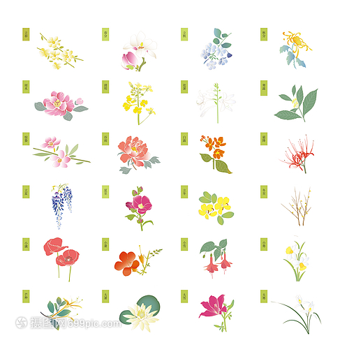 二十四节气花卉