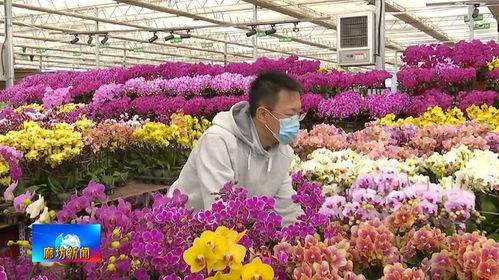 广电关注丨 畅通交通 血脉 实现互联互通新突破