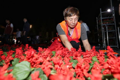 巨幅鲜花党旗展示光明食品集团花卉工厂力量