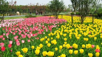 苏州中国花卉植物园门票预订_苏州中国花卉植物园门票价格_苏州中国花卉植物园门票多少钱【同程旅游】