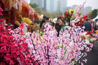 最全2018广州花市攻略出炉 玩法 各区春节活动全搜罗 黑科技带你一部手机逛遍花街